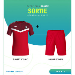 PACK ICONIC ADULTE TEE SHIRT ET SHORT