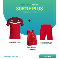 PACK ICONIC ADULTE TEE SHIRT ET SHORT 