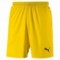 LIGA SHORT CORE Enfant