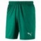 LIGA SHORT CORE Enfant