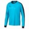 LIGA GOALKEEPER SHIRT MANCHES LONGUES ADULTE